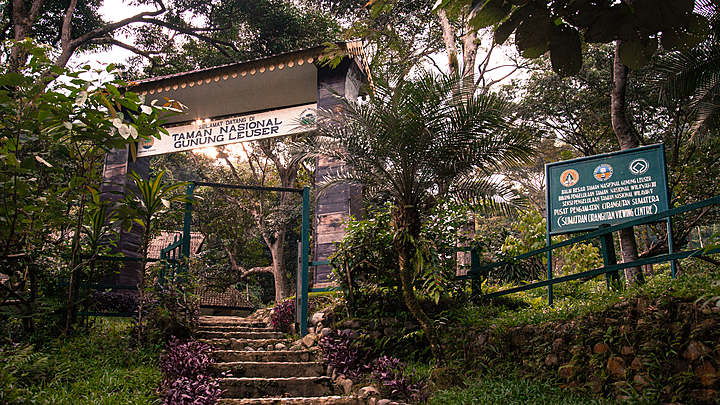 Read more about the article Dari Hutan Leuser ke Dalam Kelas: Sinergi MGMP Dalam Pembelajaran Barbasi Alam